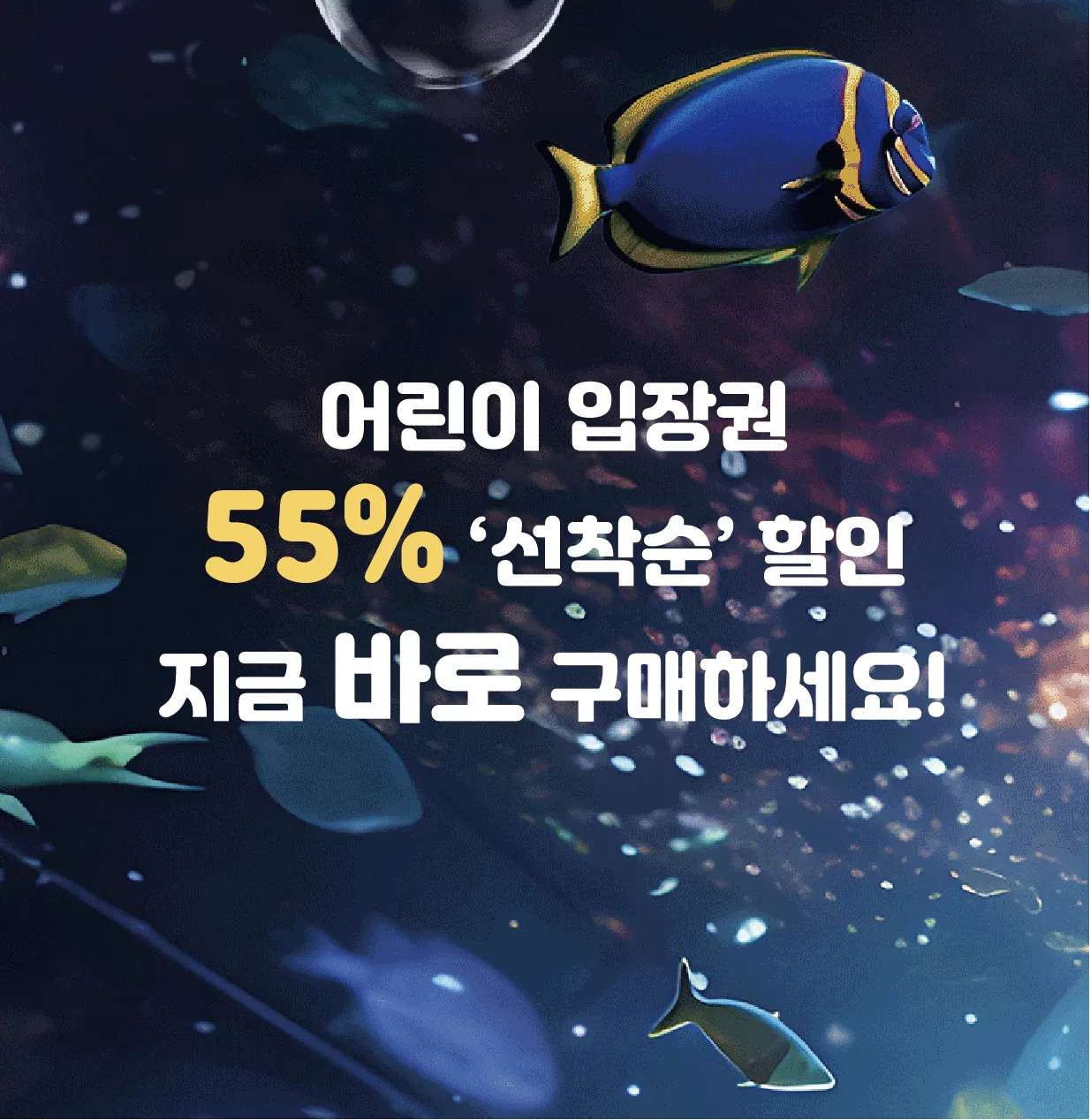 ㅁㅇ (1)