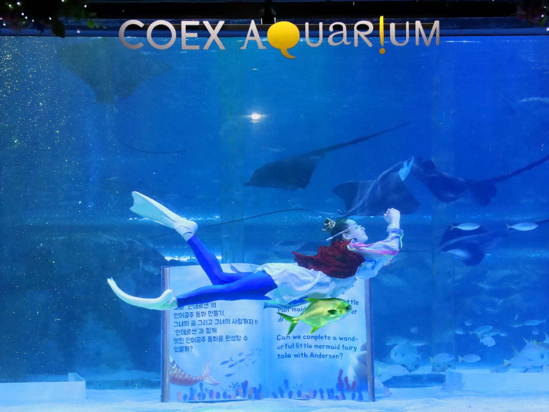 Mermaid show of Coex aquarium 