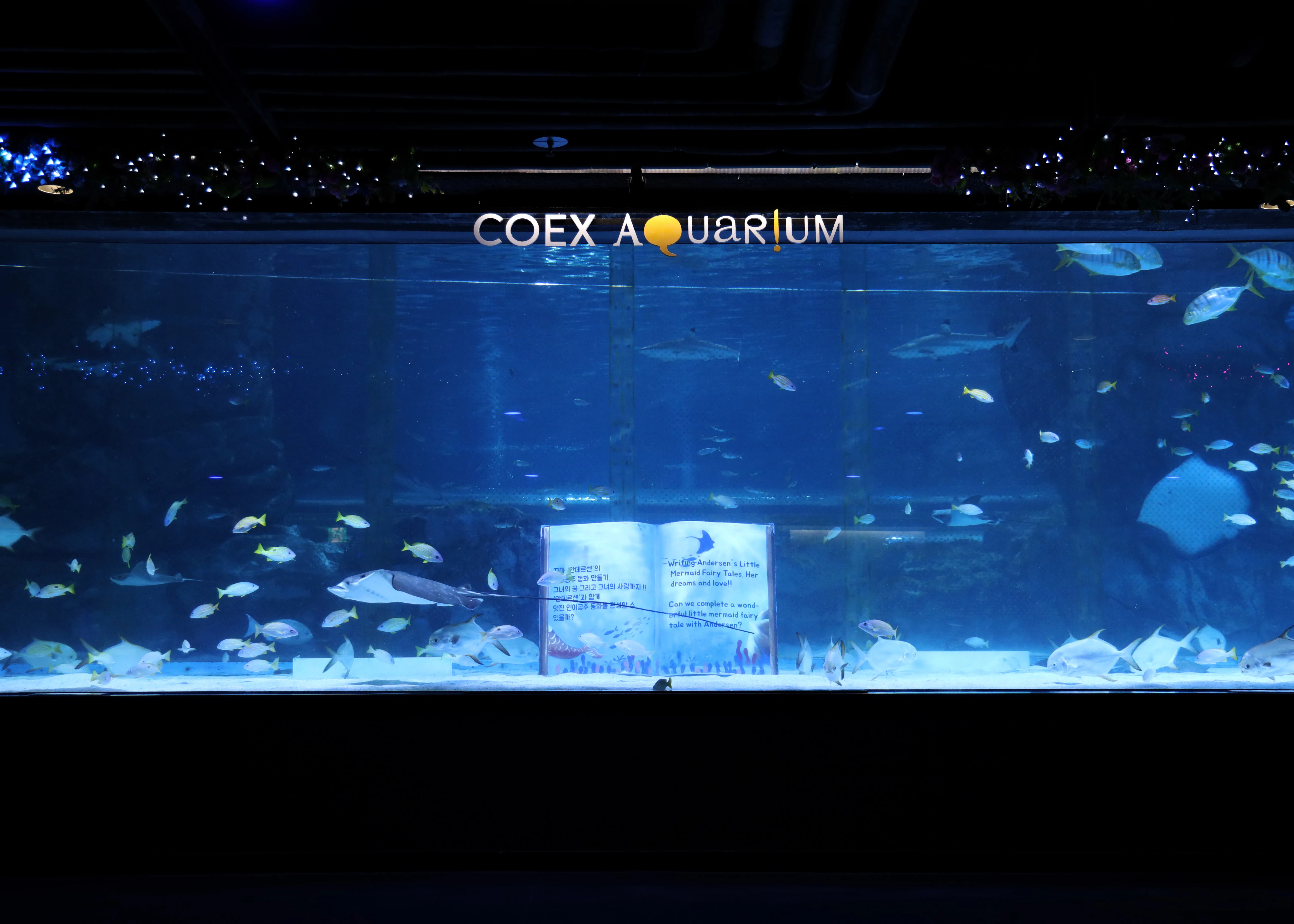 Deepblue Square