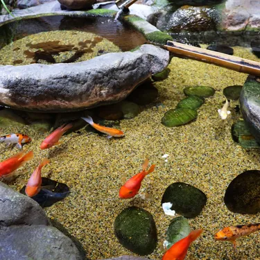 한국의 정원