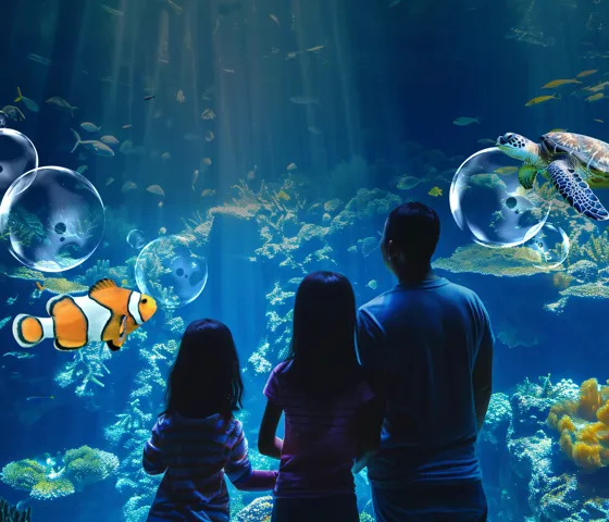STORY COEX AQUARIUM Golden Ticket Campaigncr COEX ACQ OR Maycampaignstatic P3 9X16 ICN KOR Copia 2 (1)