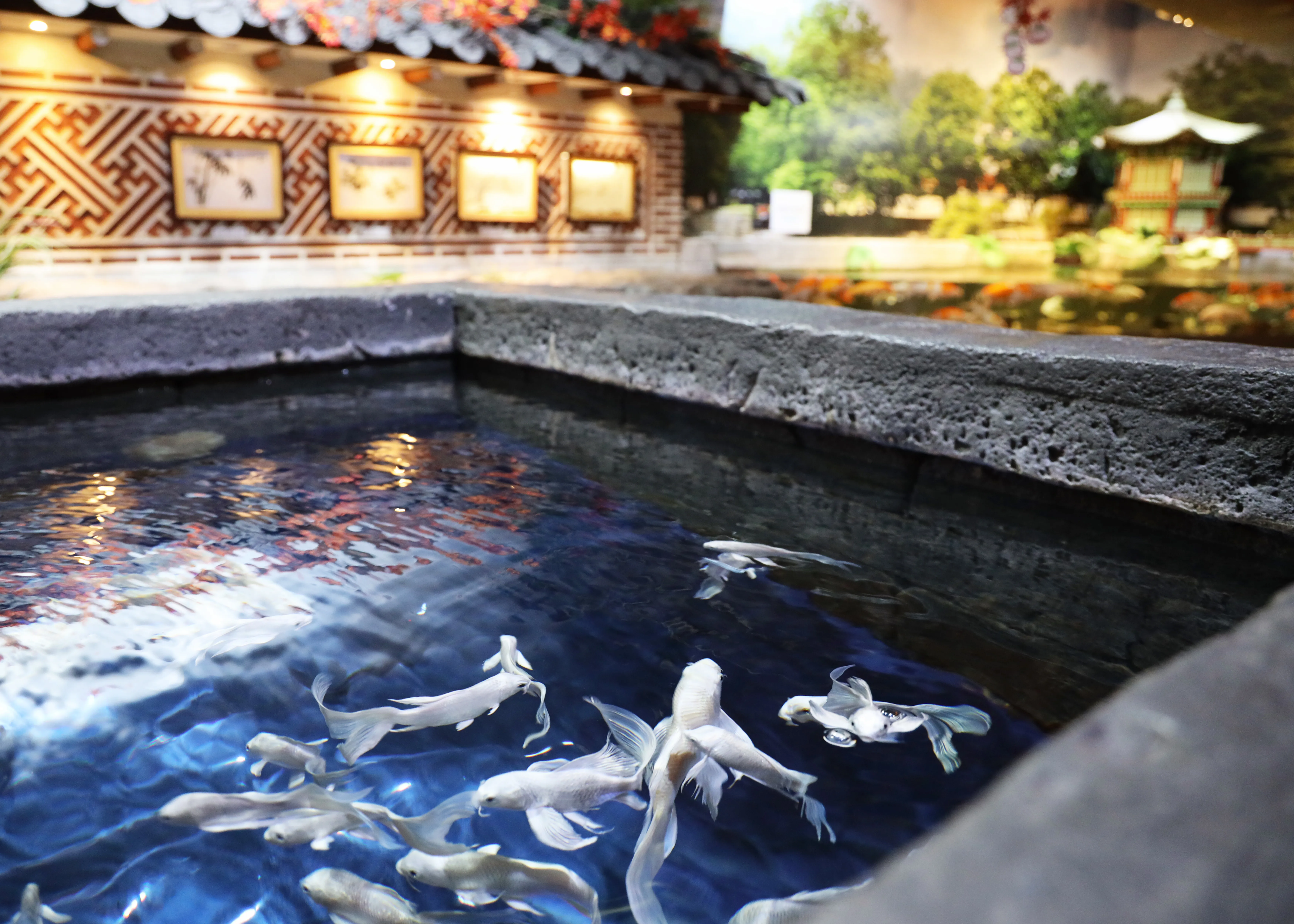Garden of Korea at COEX Aquarium