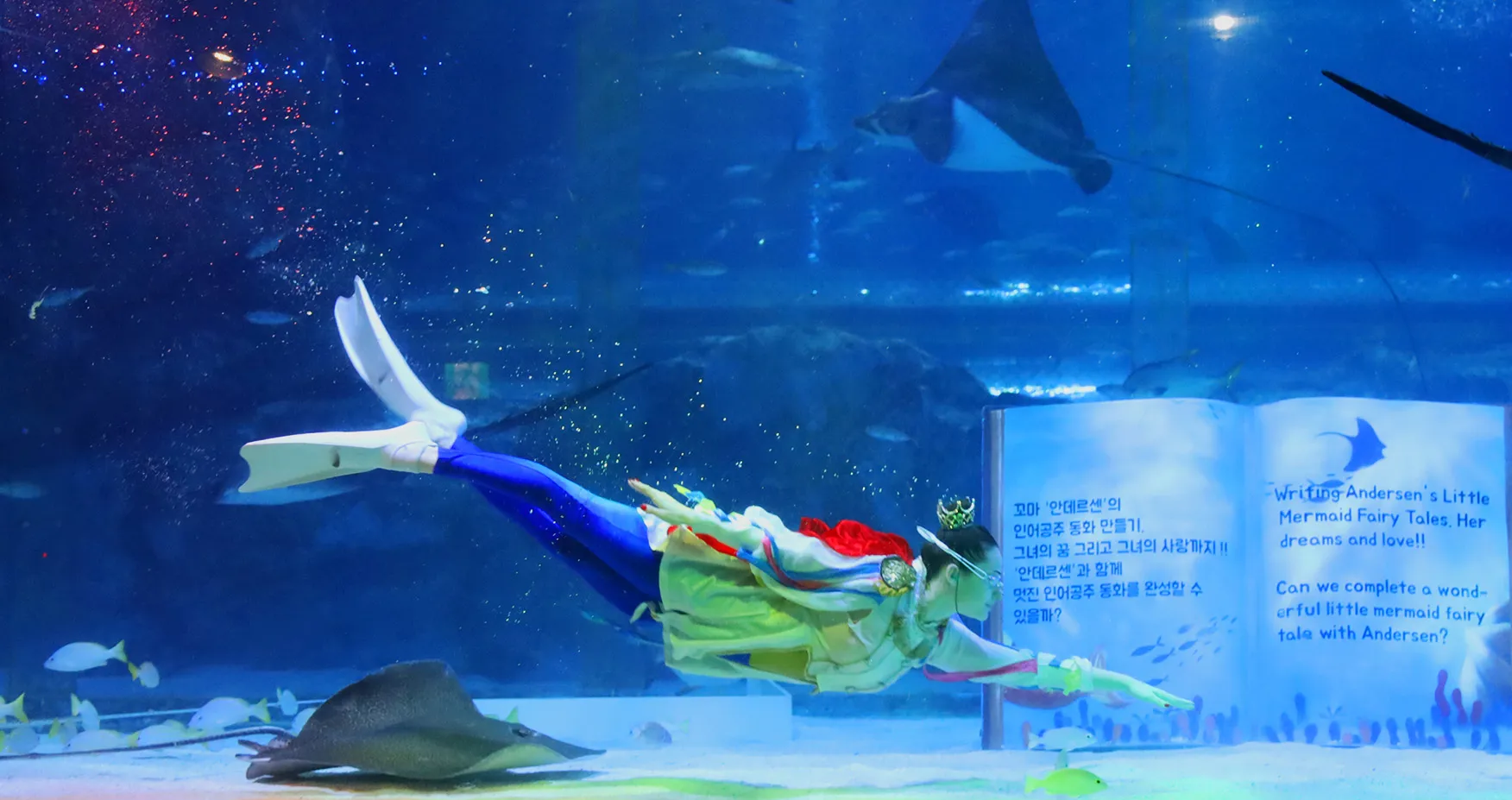 Mermaid at Coexaquarium