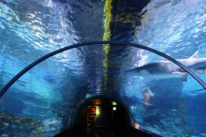 Deepblue sea tunnel