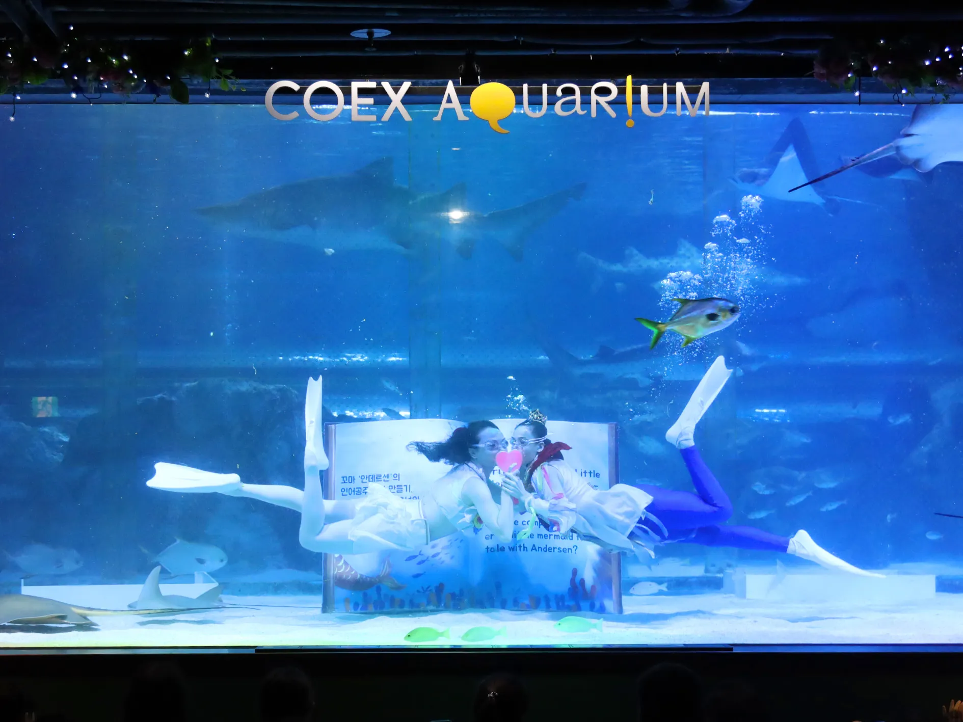 Mermaid at Coexaquarium